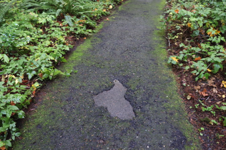 Paved trail may have areas of disrepair, causing a rut